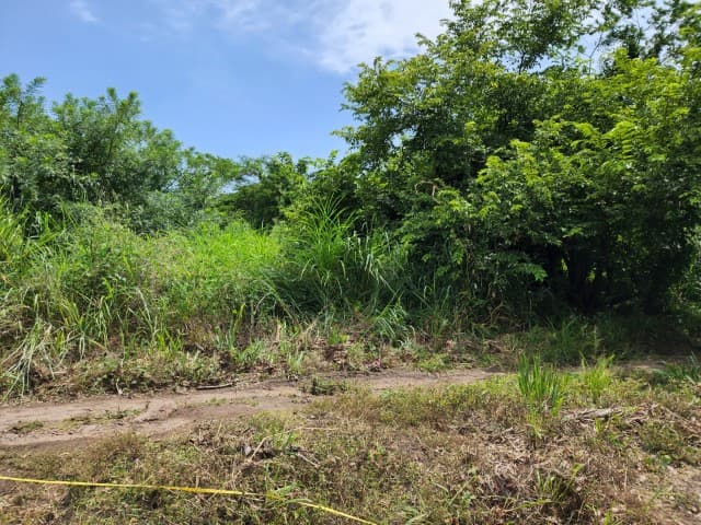 Terreno de 14 x 50 metros en Venta Quintas Malibu - foto 1