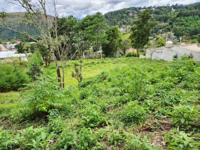 Terreno en Venta Sajcavillá San Juan Sacatepéquez - foto 1