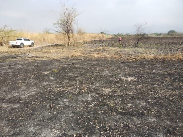 Terreno en Venta en Taxisco Santa Rosa KM 117 Lagunas - foto 1
