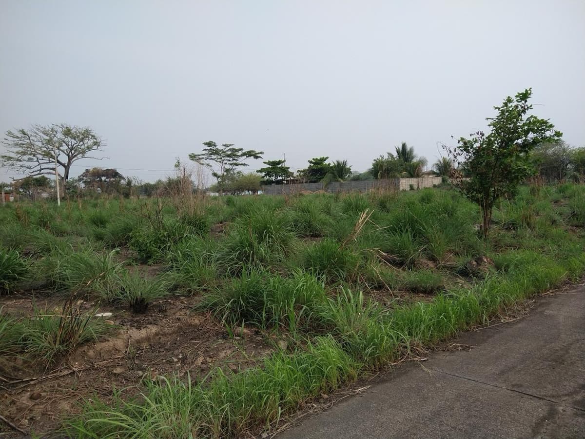 Terreno en Venta Quintas La Ponderosa, Escuintla - foto 1