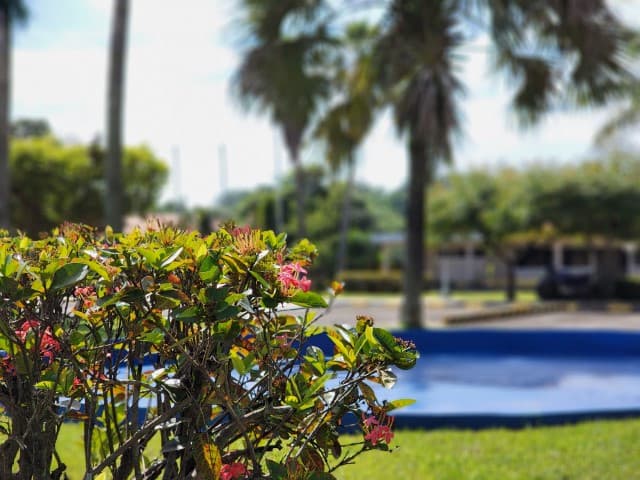 Terreno en Venta Lagunas de Torremolinos Escuintla - foto 1