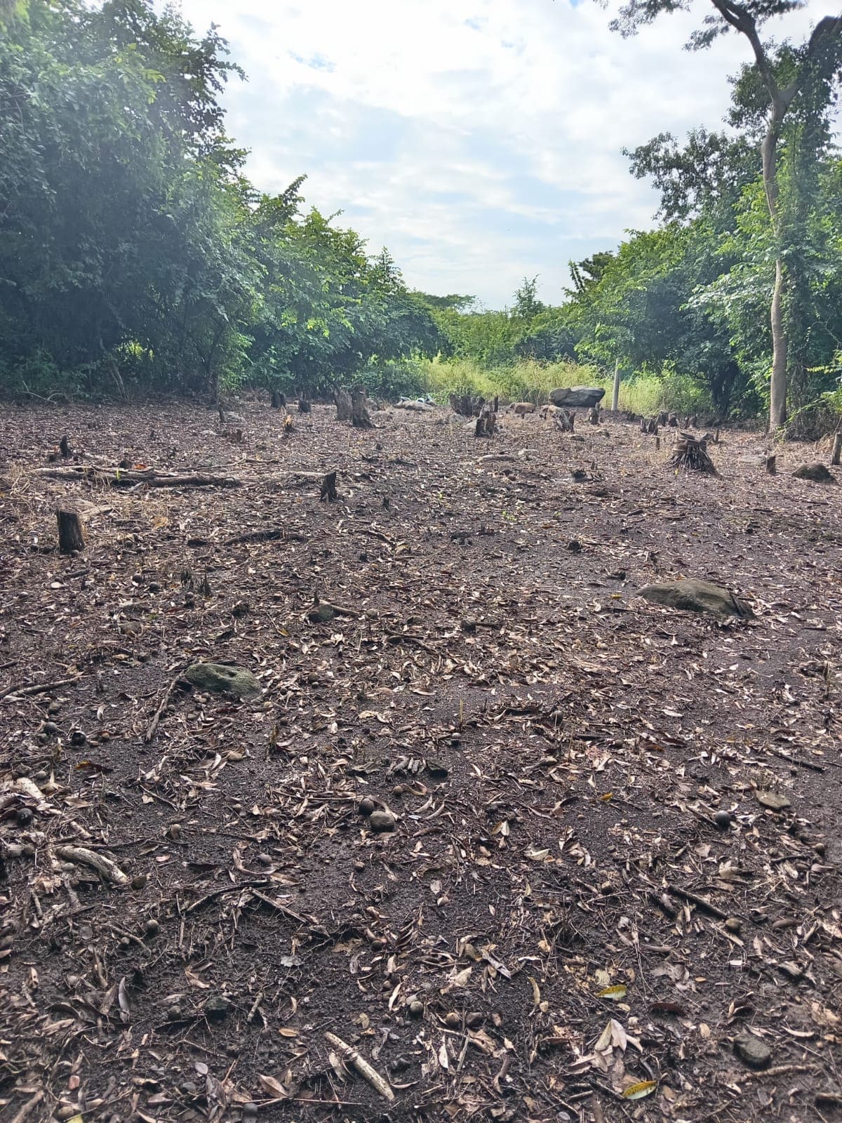 Terreno en Venta Lagunas de Torremolinos Escuintla - foto 1