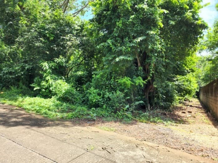 Terreno en Venta Cañadas de Torre Molinos Escuintla - foto 1