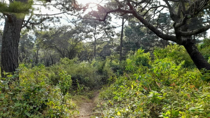 Terreno en Venta San Lucas Sacatepéquez, Guatemala - foto 1