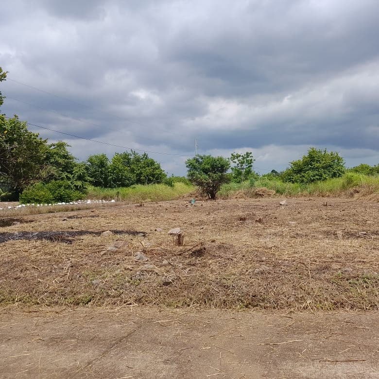 Terreno en Venta Quintas La Ponderosa Escuintla - foto 1