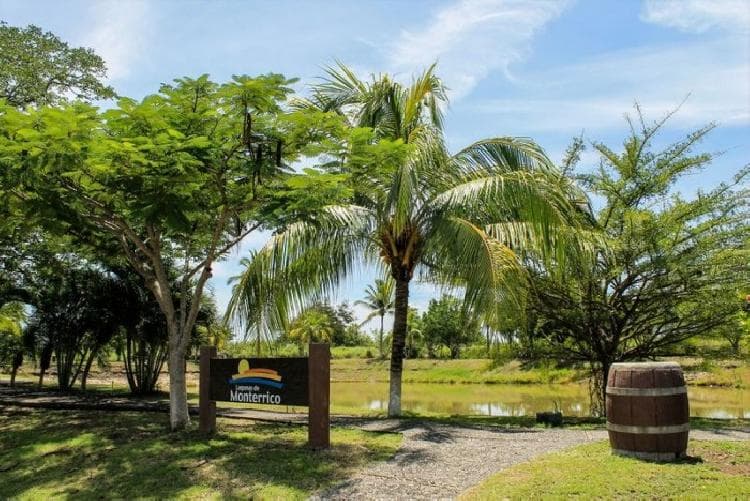 Terreno en venta en Monterrico KM 117 - foto 1