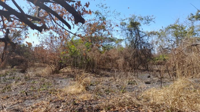 Terreno en Venta Quintas Malibú, Escuintla, Guatemala - foto 1