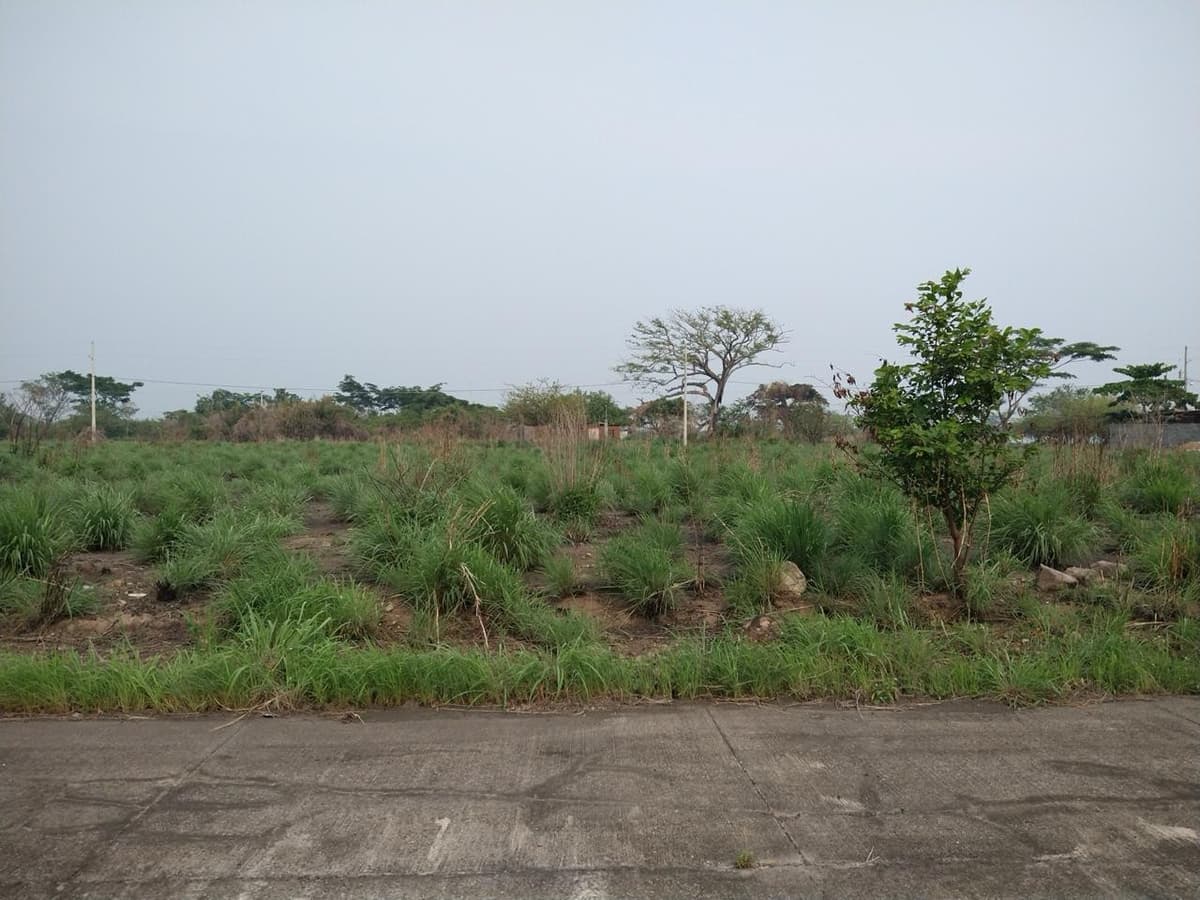 Terreno en Venta Quintas Las Ponderosa, Escuintla - foto 1