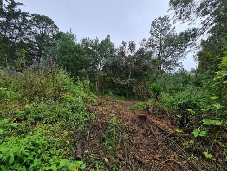 Terreno en Venta Colonia El Paraíso Sacatepéquez - foto 1