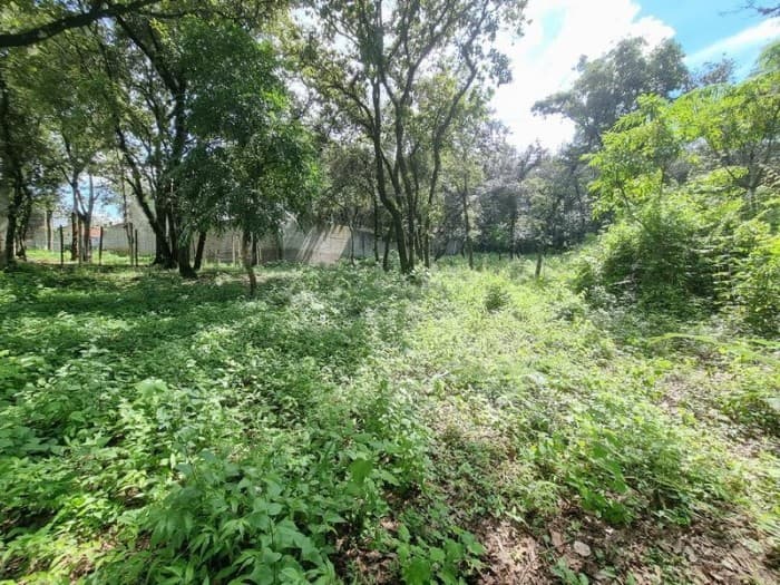 Terreno de 22,755 Vrs² en Venta en Las Hojarascas Mixco - foto 1