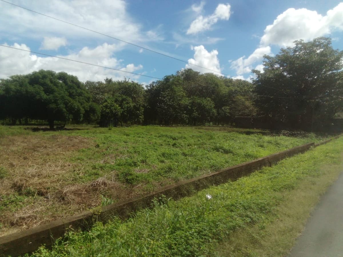 Terreno en Venta Carretera León, Managua, Nicaragua - foto 1