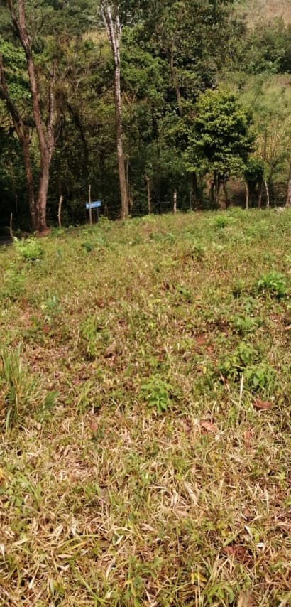 Terreno en Venta Los Amates Izabal, Guatemala - foto 1