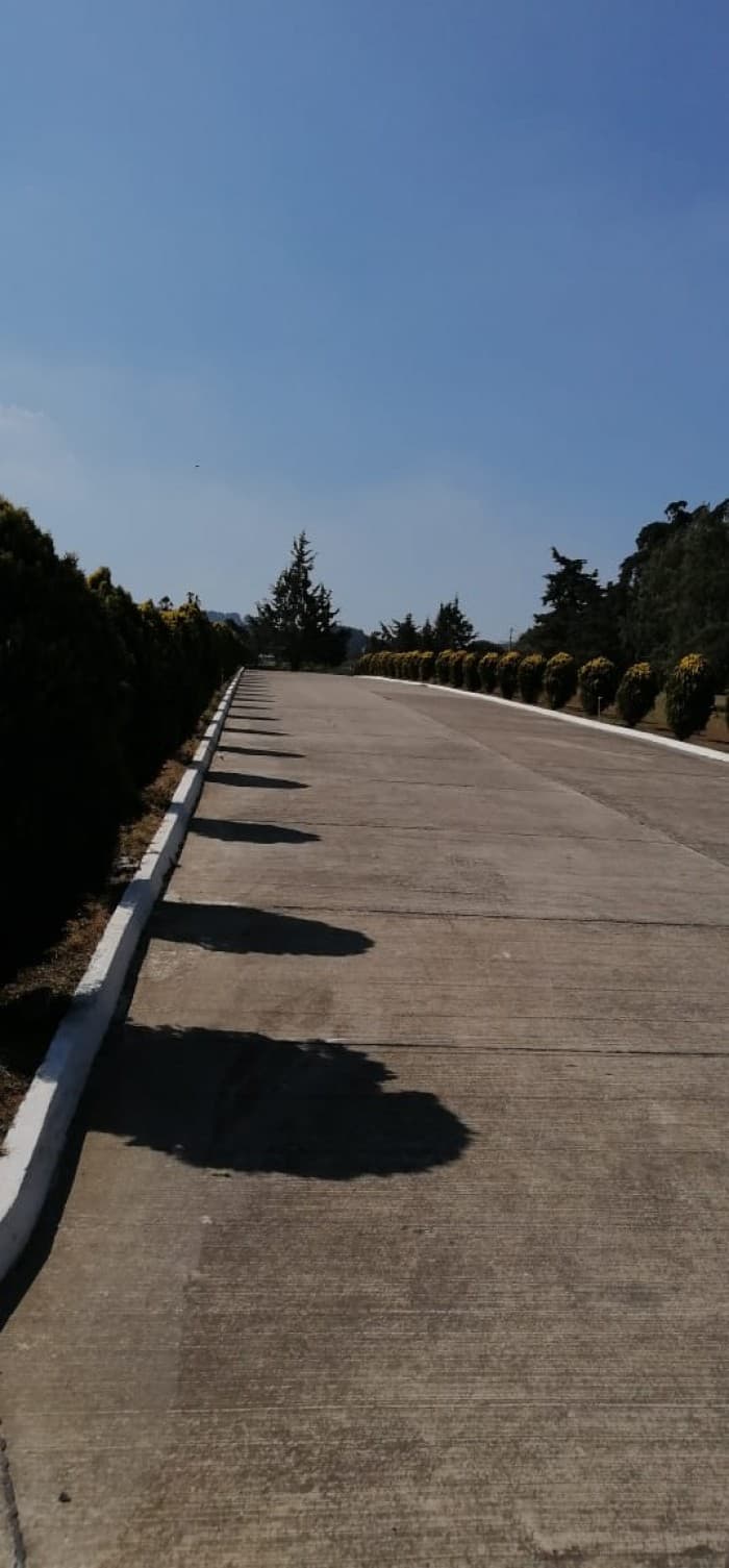 Terreno en Venta de 3 Criptas Cementerio Los Olivos CES - foto 1