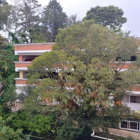 Apartamento en Renta Zona 16 La Montaña Tipo Efficiency - foto 1