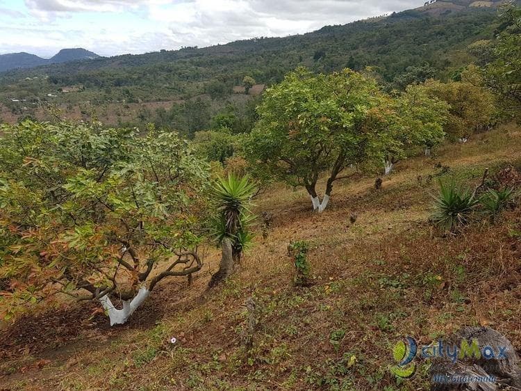Terreno en Venta de 2.6 manzanas en San Vicente Pacaya - foto 1