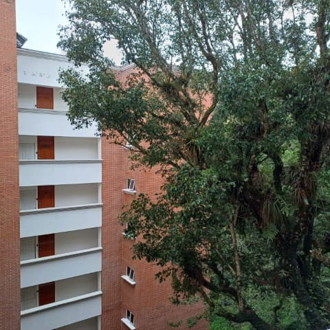 Apartamento Tipo Studio en Renta Zona 16 La Montaña - foto 1