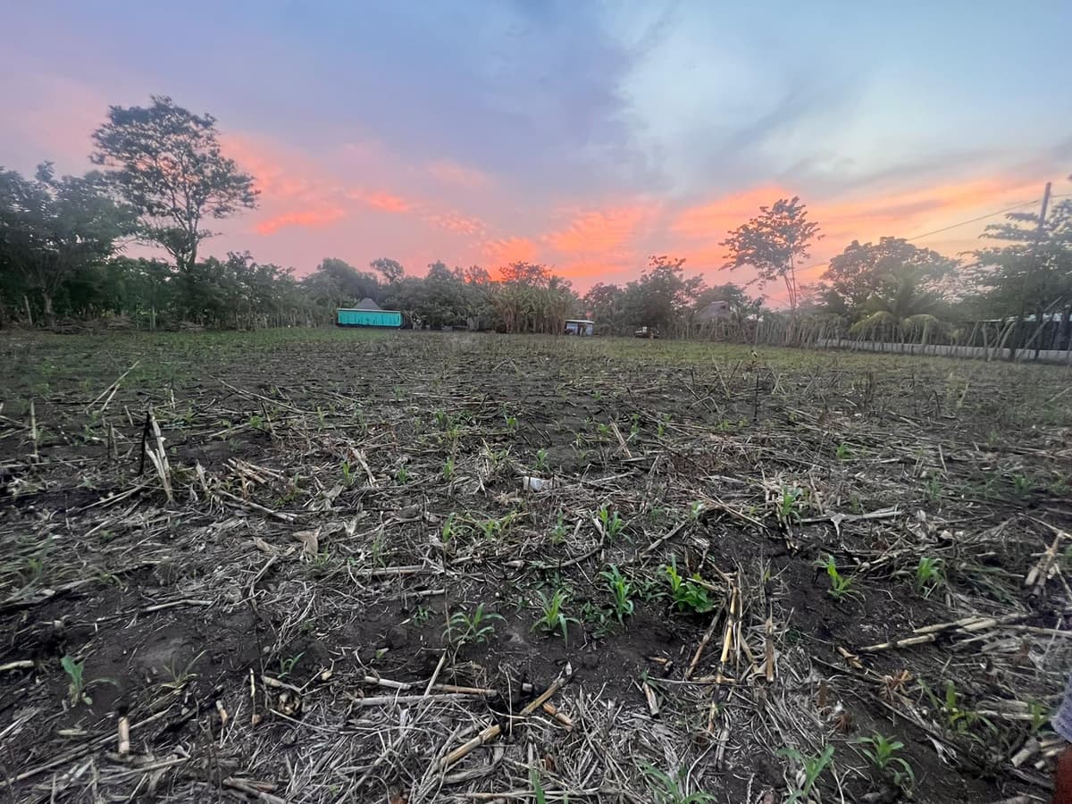 Terreno Agrícola en Venta Puerto San José Parcelamiento - foto 1