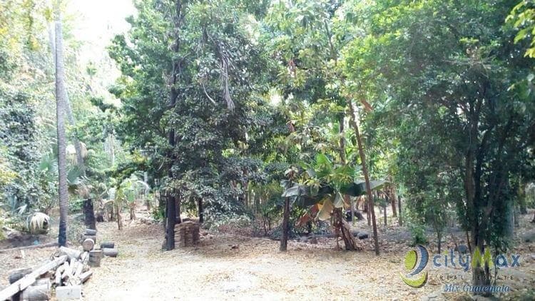 TERRENO EN VENTA EN SAN AGUSTIN ACASAGUASTLAN  - foto 1