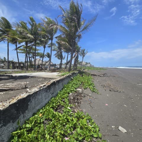 Terreno Comercial en Venta Monterrico, Santa Rosa - foto 1