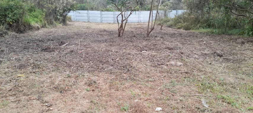 Terreno en Venta Granjas Praderas del Bambú - foto 1