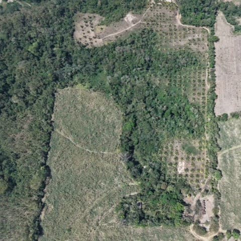 Terreno en Venta Aldea Xayá, Santa Lucía Cotzumalguapa - foto 1
