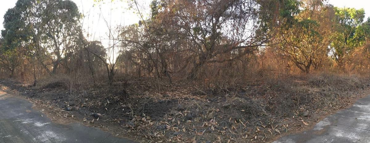 Terreno en Venta en Quintas La Ponderosa Masagua  - foto 1
