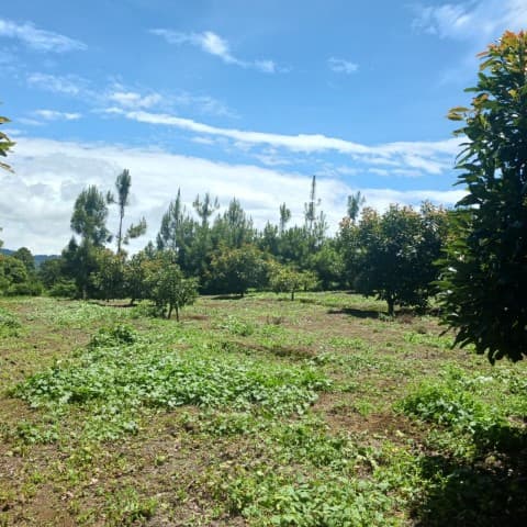 Terreno Comercial y Residencial en Venta Santiago Sac. - foto 1