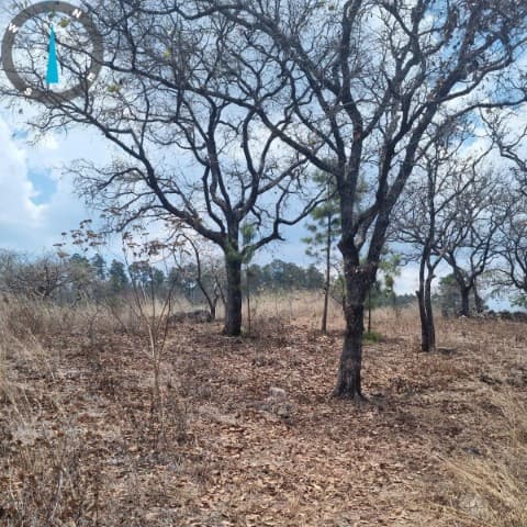 Terreno Comercial en Venta, Jalapa, Cabecera - foto 1