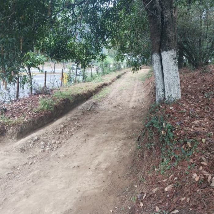 Terreno Comercial en Renta en Carretera Interamericana - foto 3