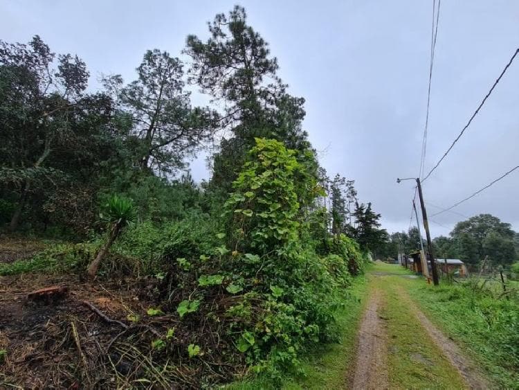 Terreno en Venta Colonia El Paraíso Sacatepéquez - foto 2
