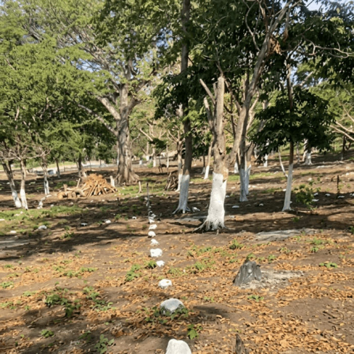 Terreno Residencial en Venta Cuilapa Santa Rosa - foto 4