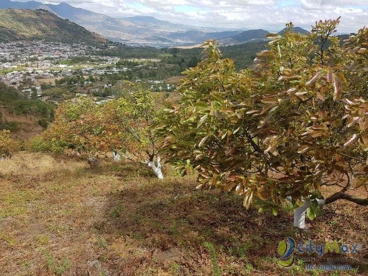 Terreno en Venta de 2.6 manzanas en San Vicente Pacaya - foto 4