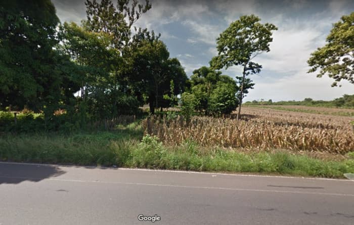 Terreno en alquiler KM 235 Aldea Las Palmas Coatepeque  - foto 3