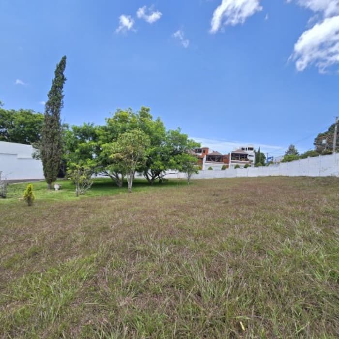Casa con Amplio Terreno en Venta Bulevar San Cristóbal - foto 5