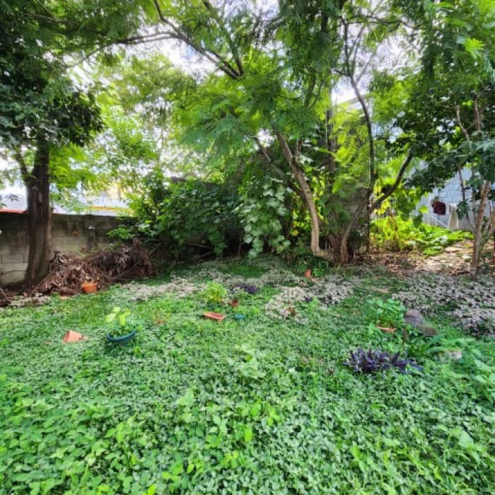 Terreno con Locales y Apto. en Venta en San Cristóbal - foto 3