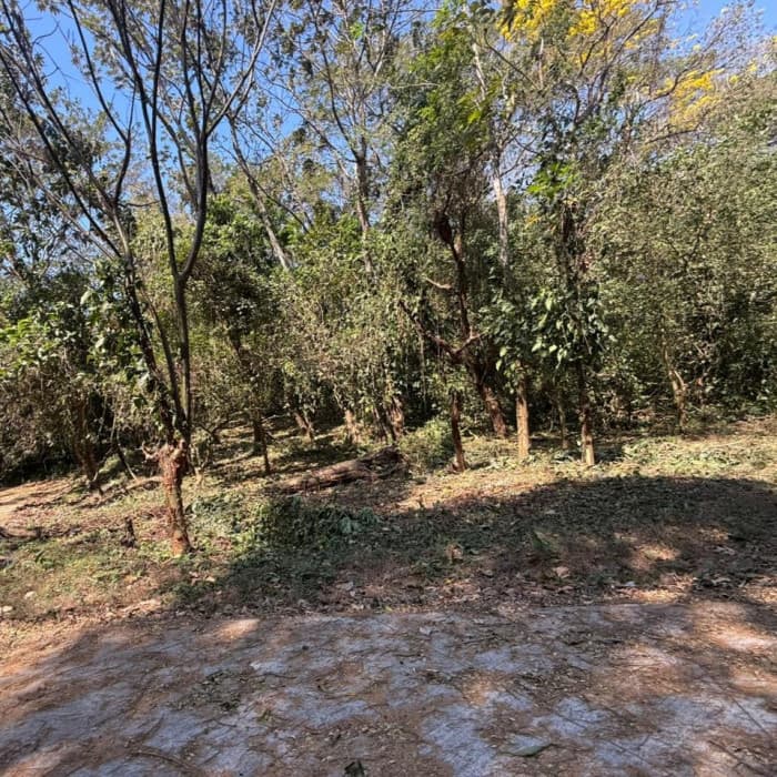Lote en Venta RioSul, Escuintla, Guatemala - foto 3