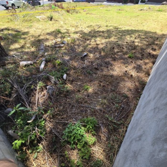 Terreno Amplio en Venta Pinares de San Cristóbal - foto 13