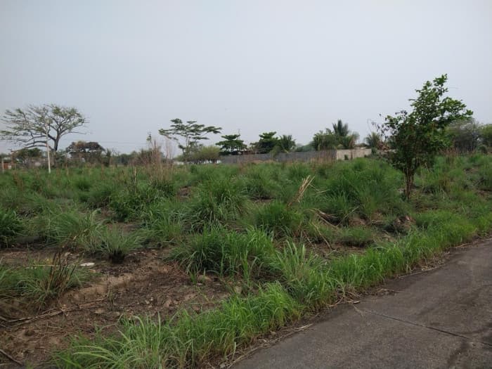 Terreno en Venta Quintas Las Ponderosa, Escuintla - foto 2