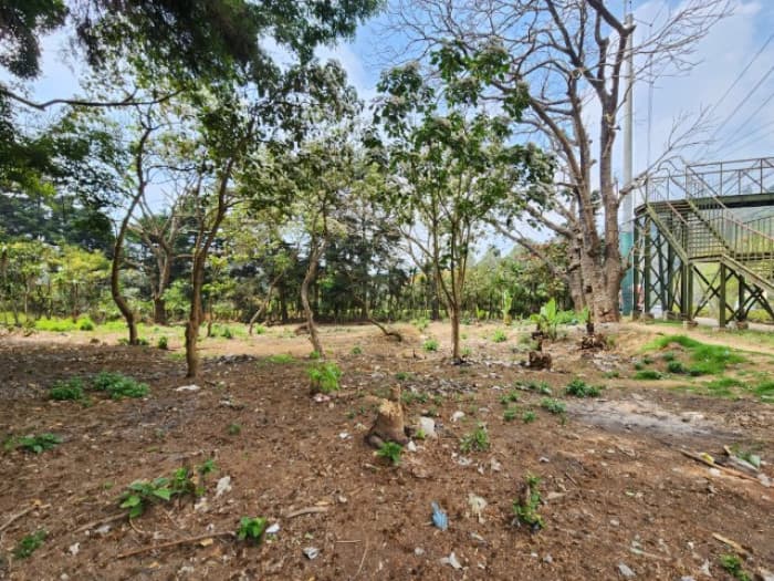 Terreno Comercial en Renta Ruta Interamericana Sn Lucas - foto 2