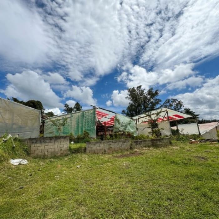 Terreno Comercial en Renta Zona 4 Socabal Chimaltenango - foto 3
