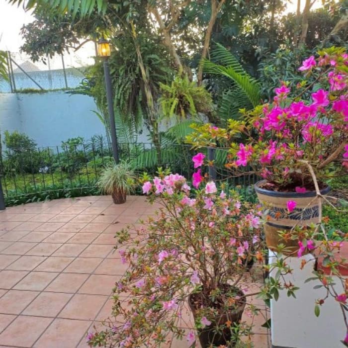 Casa en Venta en Cobán, Alta Verapaz - foto 3
