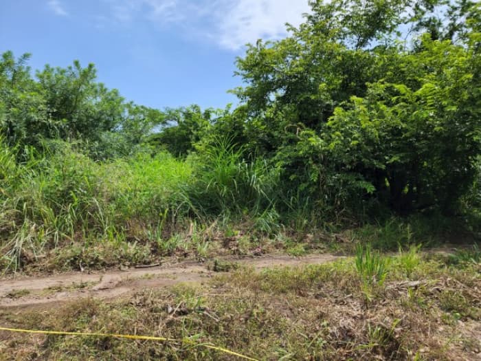 Terreno en Venta Quintas Malibú, Escuintla, Guatemala - foto 4