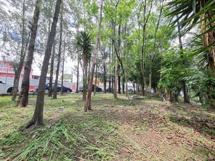 Terreno en Renta para Vivero o Restaurante tipo Pérgola - foto 3