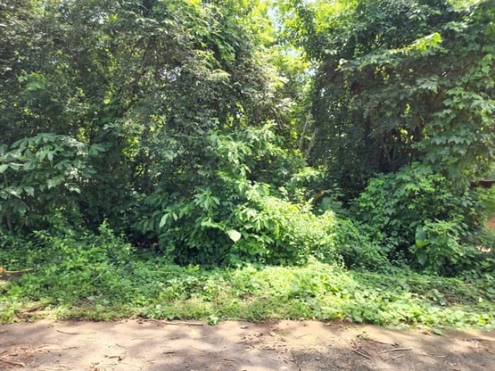 Terreno en Venta Cañadas de Torre Molinos Escuintla - foto 3