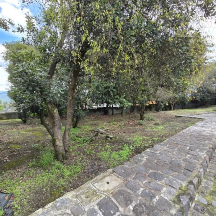 Terreno en Venta Hacienda Del Comendador, Sacatepéquez - foto 3