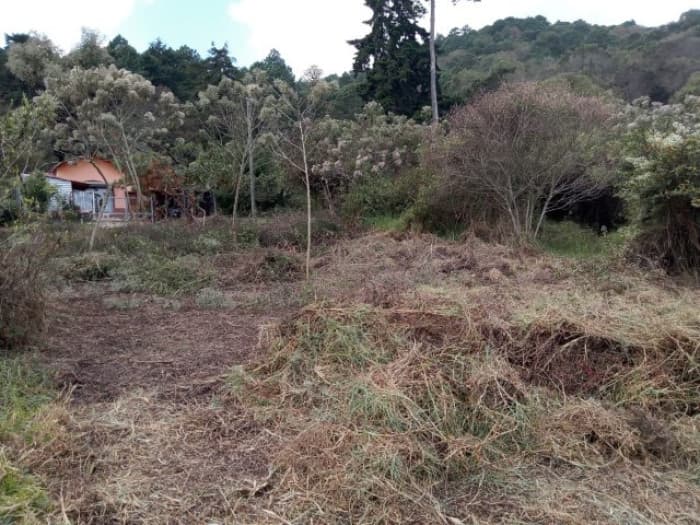 Terreno en Venta Granjas Praderas del Bambú - foto 4
