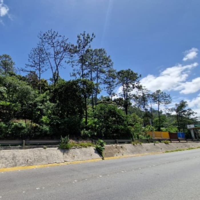 Terreno en Venta Lotificación Quintas del Tejar KM 46 - foto 3