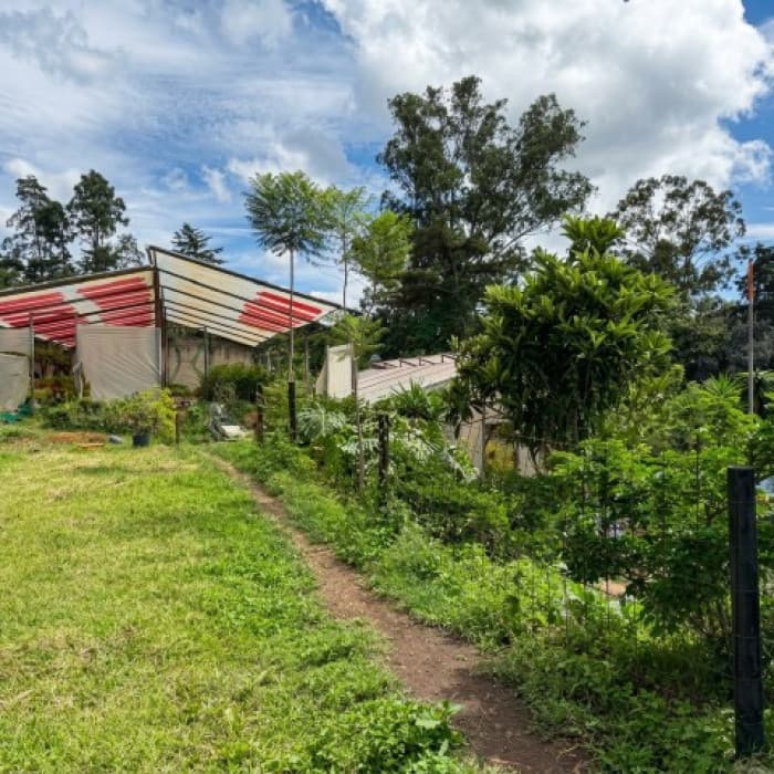Terreno Comercial en Renta Zona 4 Socabal Chimaltenango - foto 5