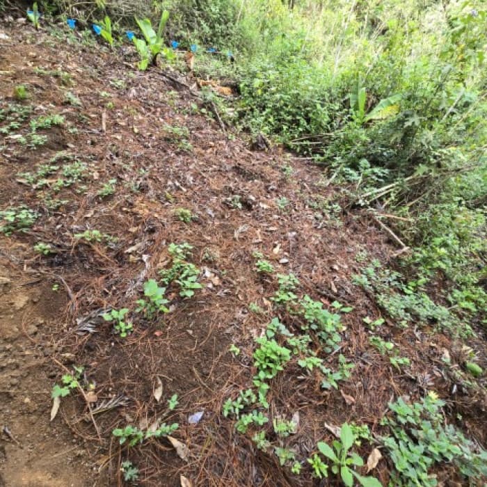 Terreno Residencial en Venta Carretera a El Salvador - foto 4