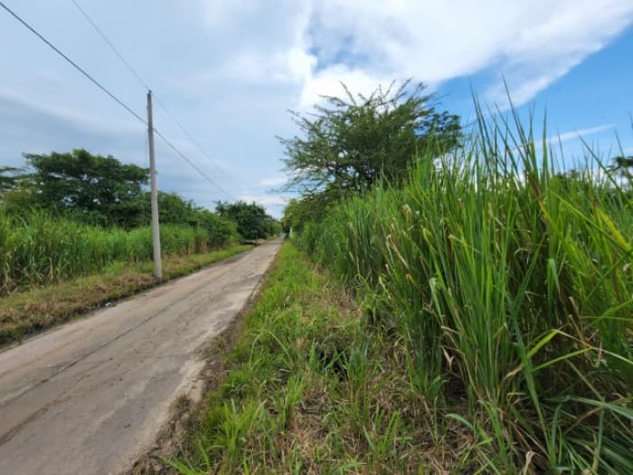 Terreno en Venta Quintas Malibú, Escuintla, Guatemala - foto 2